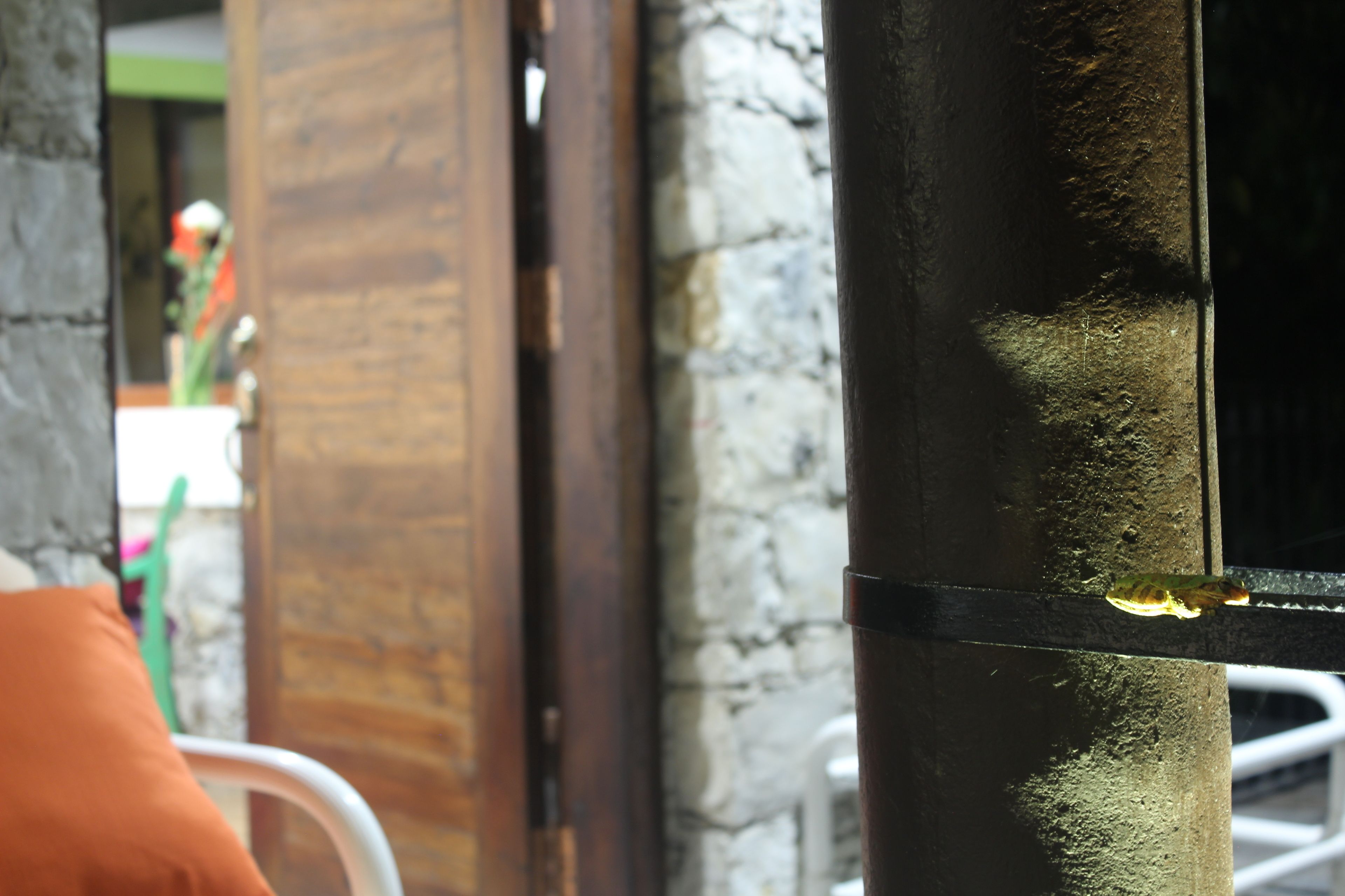 lover suite deluxe | individually decorated, individually furnished, blackout curtains