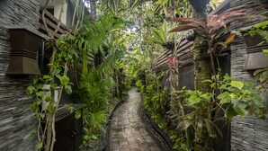Teras/patio
