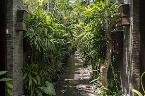 Garden view
