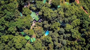 Vista aerea di una zona densamente boscosa con diversi edifici dotati di tetti verdi, probabilmente un complesso turistico o alberghiero.