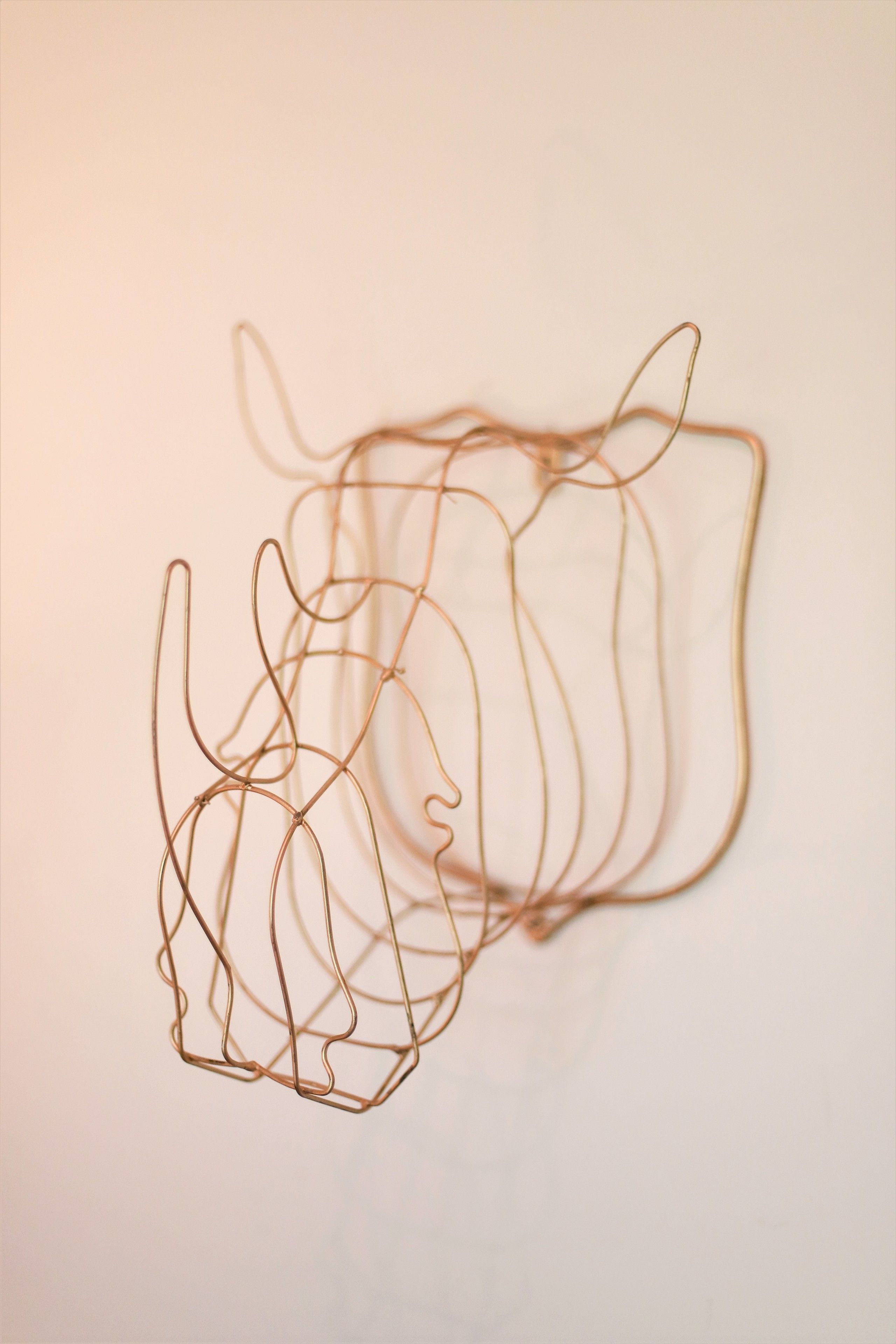 A close-up of a wire sculpture against a plain background.