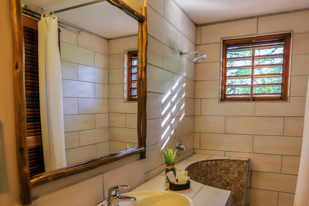 superior room, 1 double or 2 single beds (rock view room) | bathroom | shower, free toiletries, hair dryer, towels