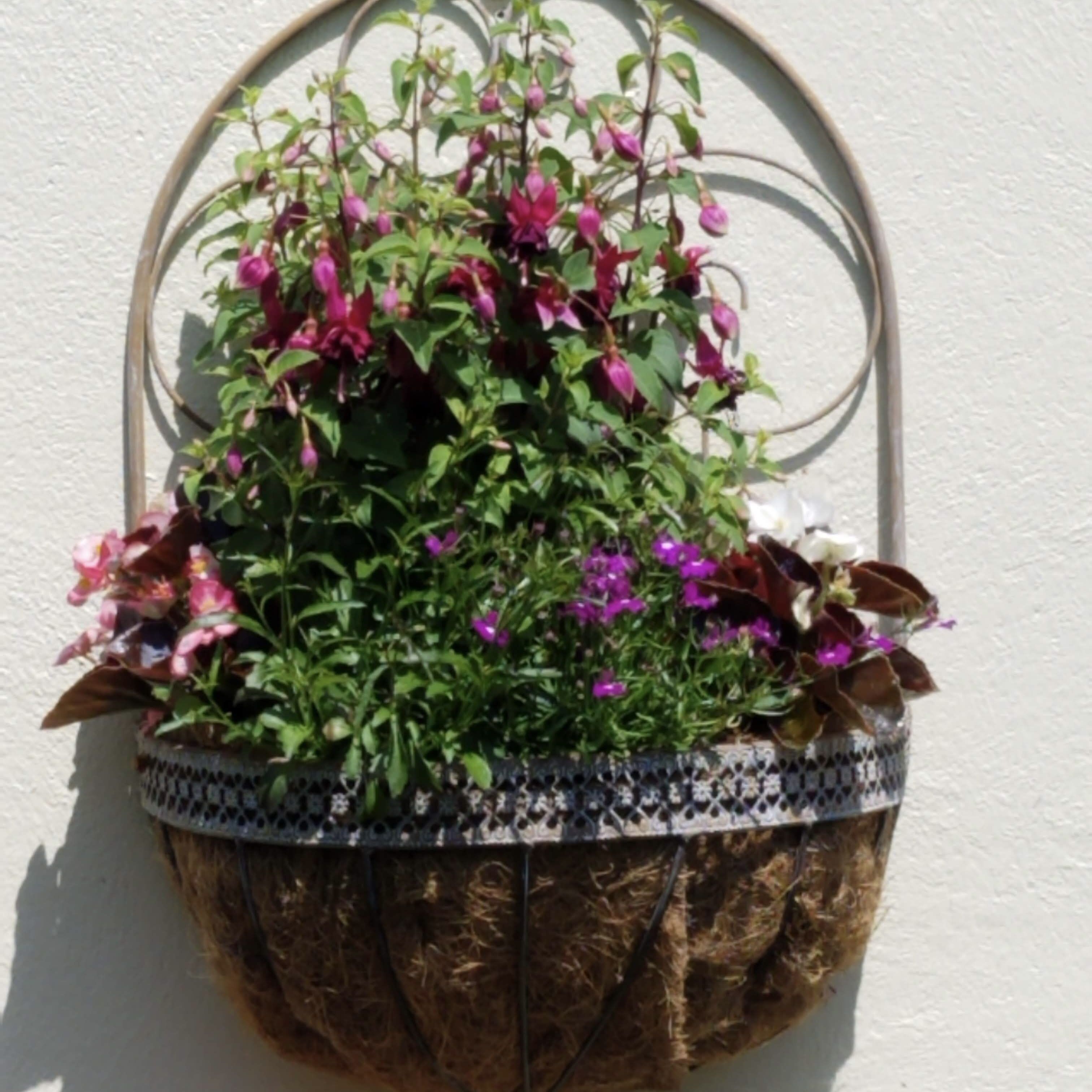Un pot suspendu rempli d’une variété de fleurs et de feuillages, placé devant un mur blanc.