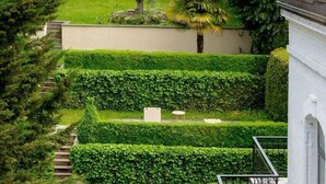 Un jardín bien cuidado con setos recortados, una palmera y un pequeño espacio con asientos.