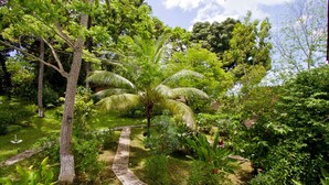 A lush garden with a variety of trees and a paved pathway. - Pousada Paraiso de Boipeba (Cairu)