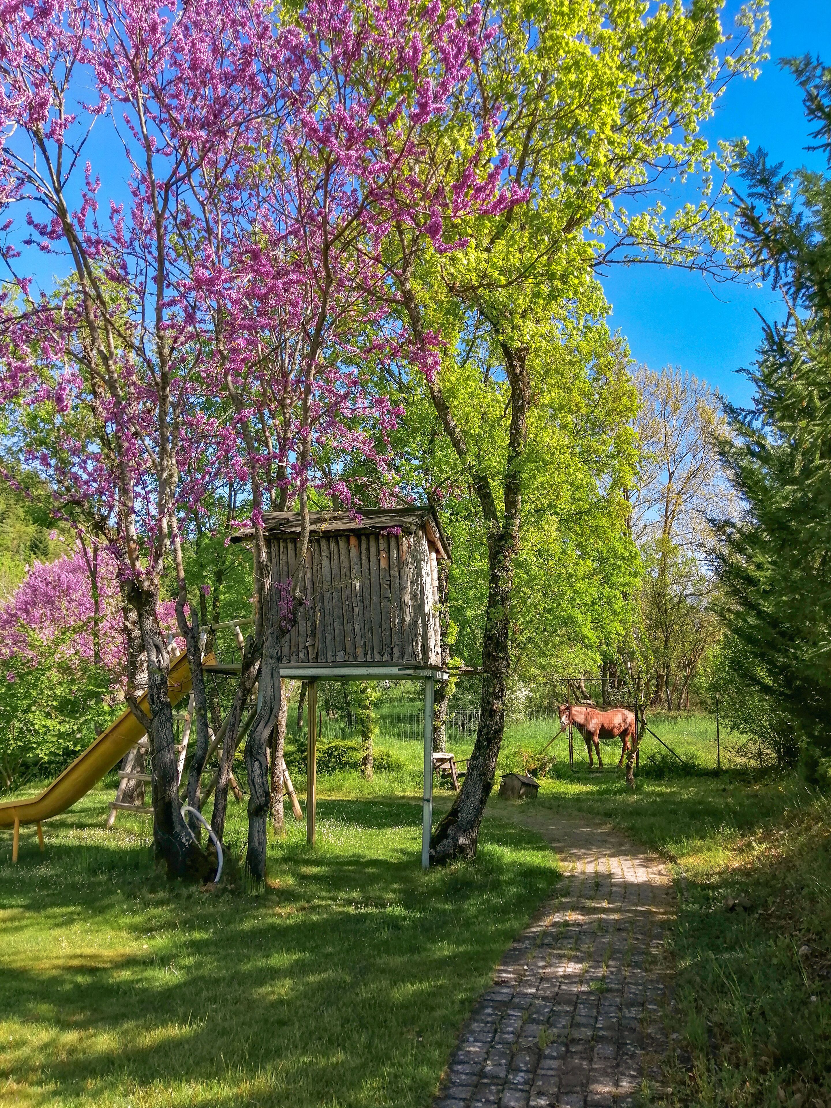 Children’s play area – outdoor