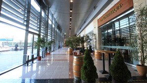 Un espacio interior amplio con ventanas grandes, plantas en macetas y un área de asientos con barriles de madera.