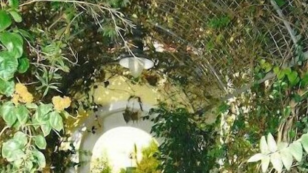 Un sendero de piedra que atraviesa un túnel exuberante y verde, con paredes de ladrillo y un arco de metal.