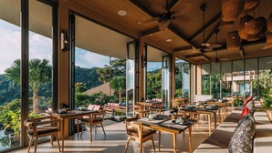 Un vaste espace extérieur aménagé pour les repas, avec des tables et des chaises en bois, et de grandes fenêtres offrant une vue sur une végétation luxuriante et des collines.