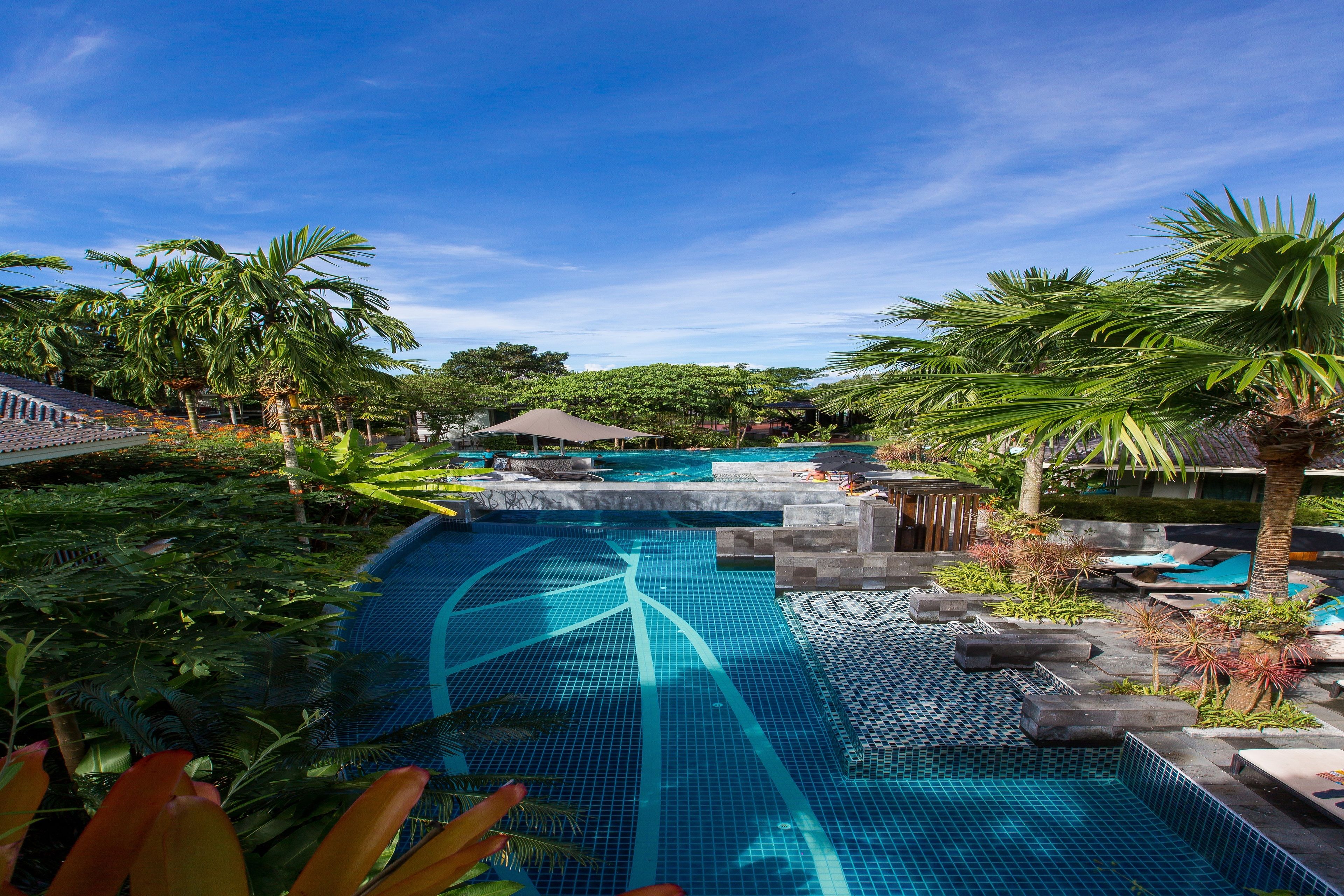 A swimming pool with tiled patterns, surrounded by palm trees and tropical plants.