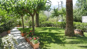 A well-maintained garden with various plants and a palm tree. - Hotel Athena (Apokoronas)