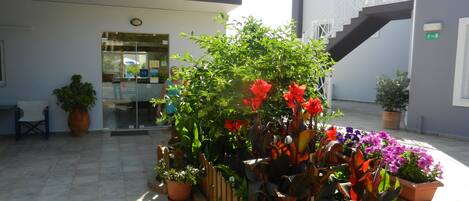 An outdoor area with a wooden fence, potted plants, and a staircase.