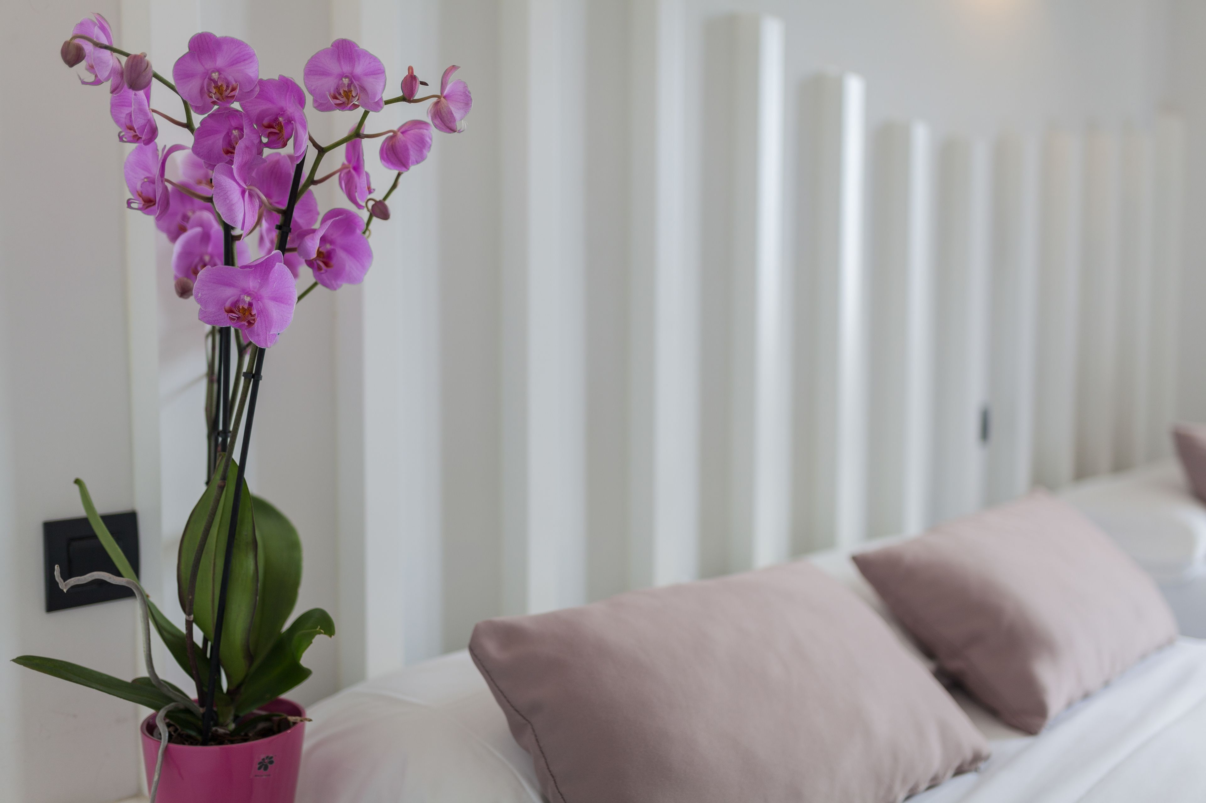 Foto - Hostal Continental