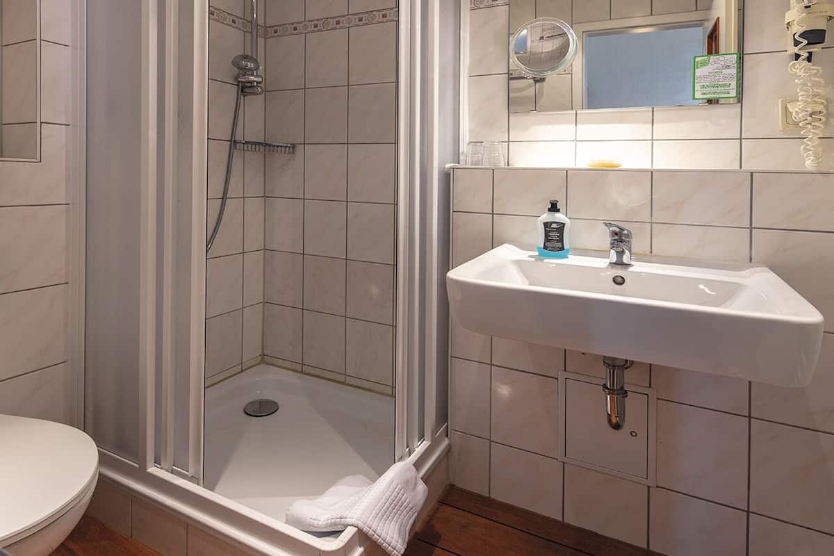 shower, free toiletries, hair dryer, towels