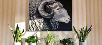 Salisbury Guest House