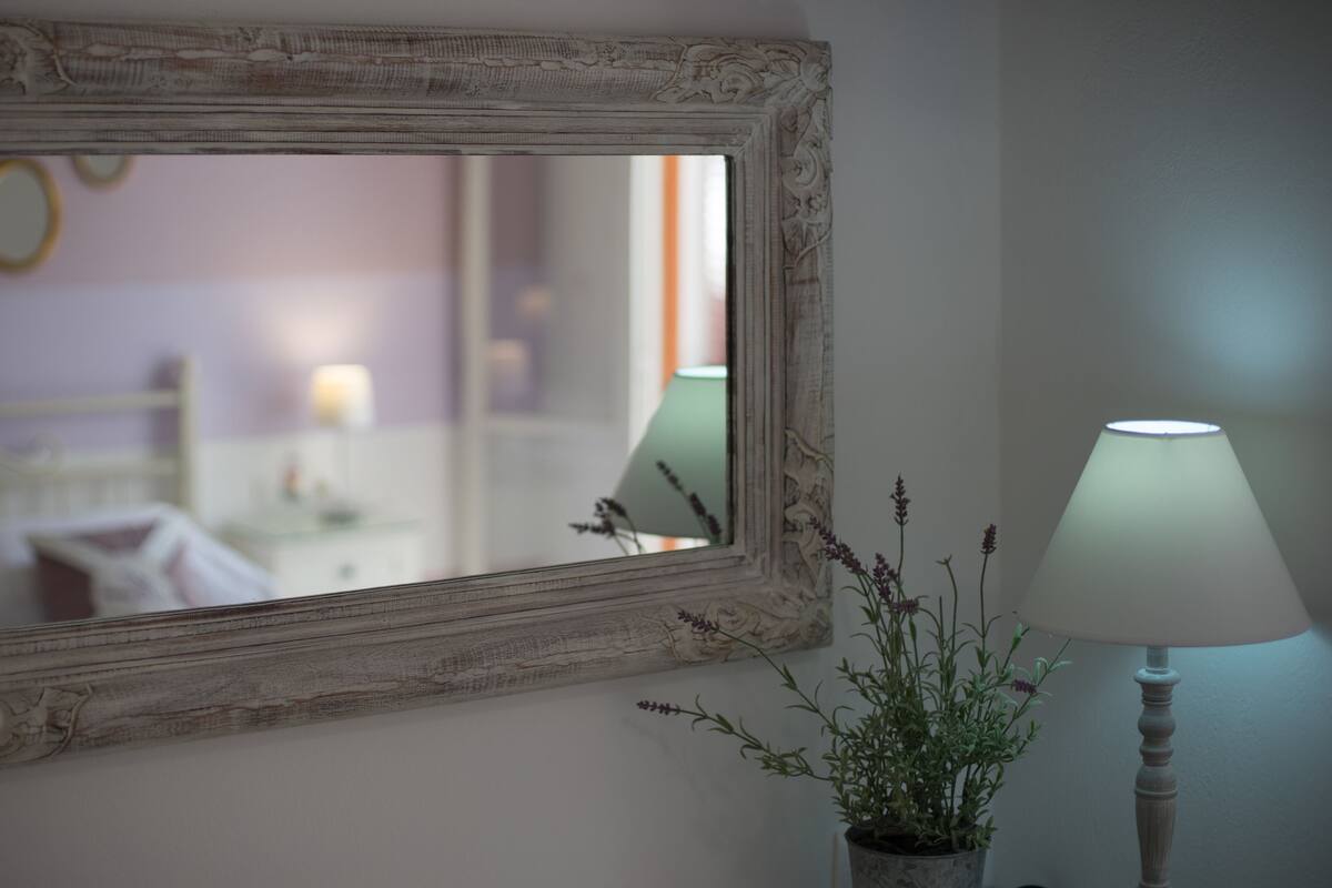 A mirror with an ornate frame, a lamp, and a potted plant on a wall.