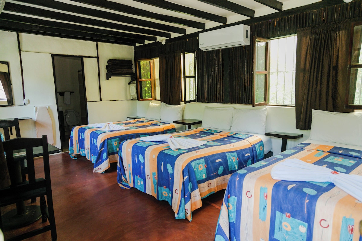Habitación familiar, varias camas, baño privado | Tabla de planchar con plancha, wifi gratis, ropa de cama