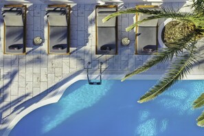Un área de piscina en la azotea con sillones de descanso y una palmera.