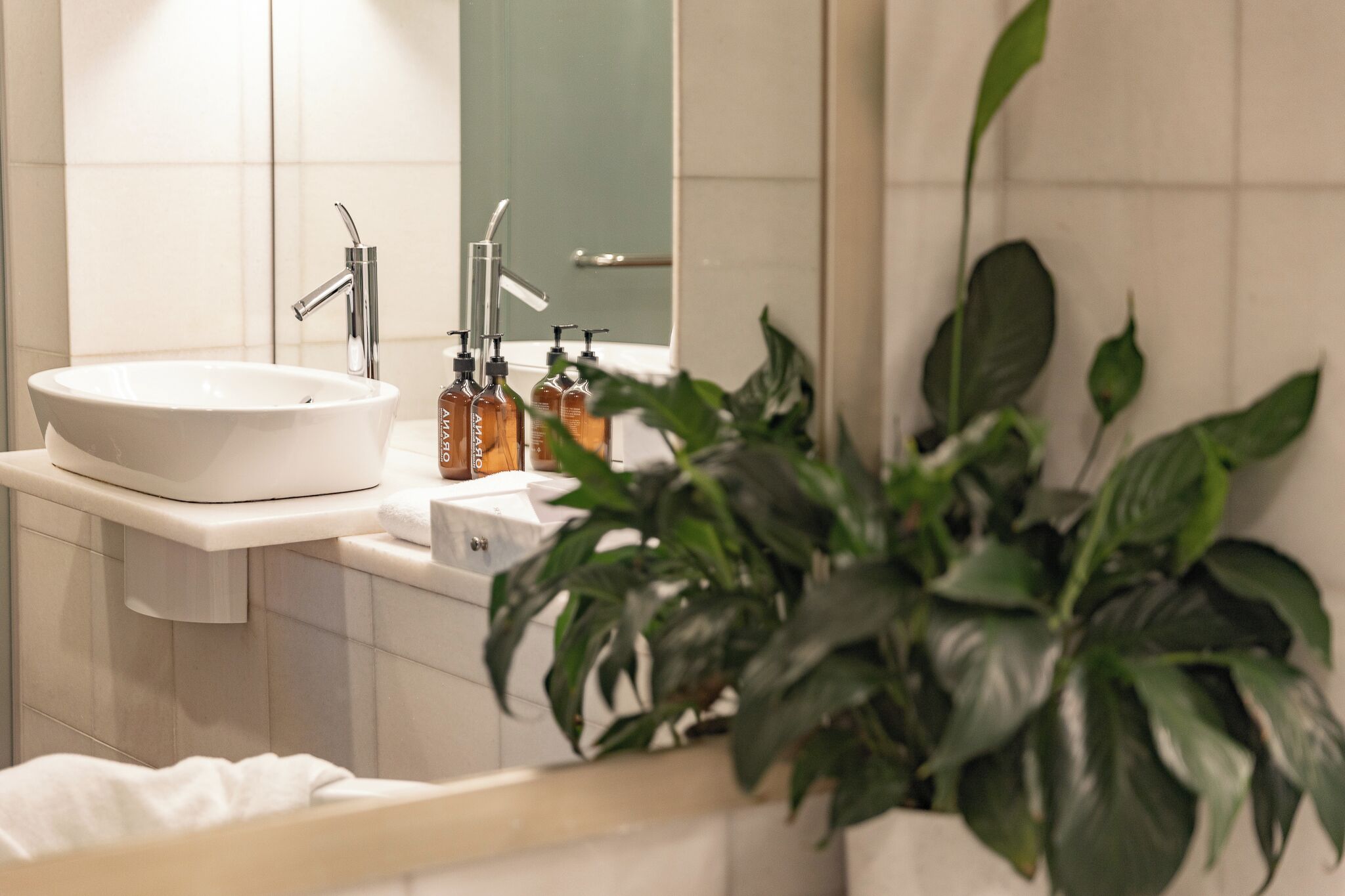 A bathroom with a white sink, a mirror, and a potted plant.