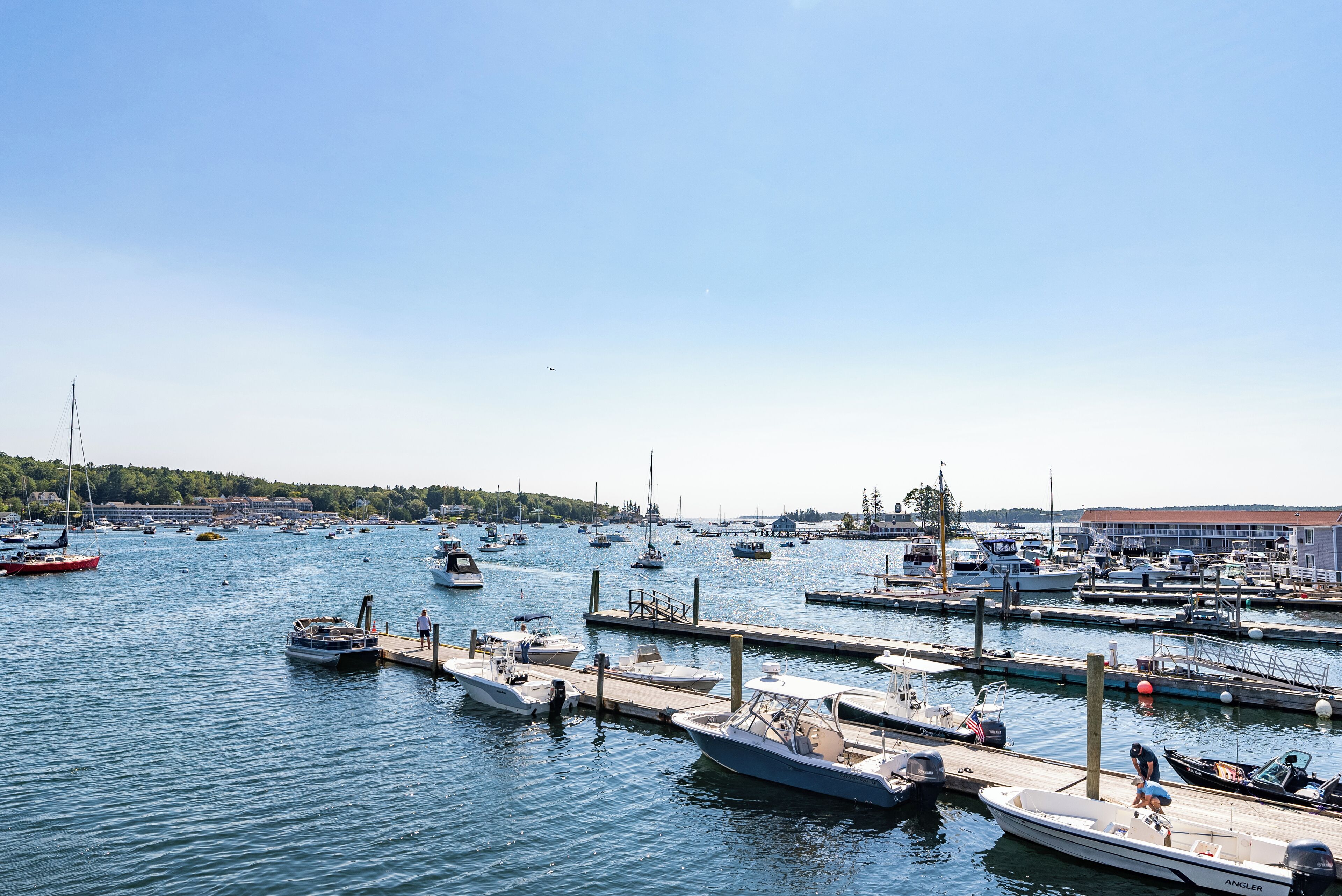 A marina with multiple boats docked at piers, a clear sky, and a distant shoreline with buildings.