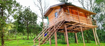 Punarjani Ayurvedic Resorts