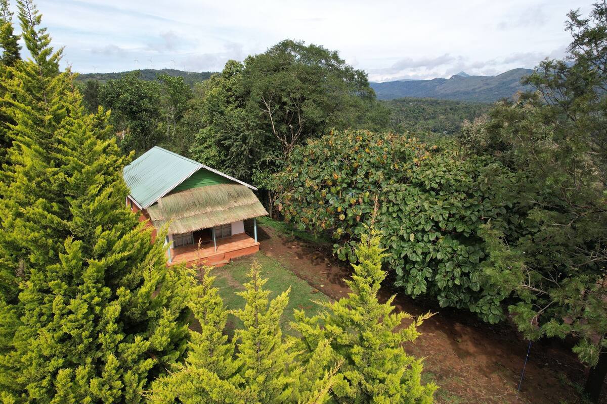 Executive Cottage | 1 bedroom, Egyptian cotton sheets, premium bedding, desk