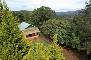 Room - Punarjani Ayurvedic Resorts (Udumbanchola)