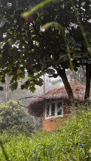 Natural Hut | 1 bedroom, Egyptian cotton sheets, premium bedding, desk