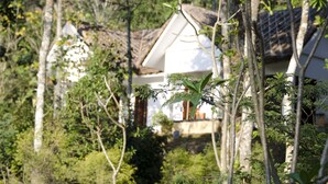 Une maison entourée d’une végétation luxuriante, avec une façade blanche et un toit en pente.