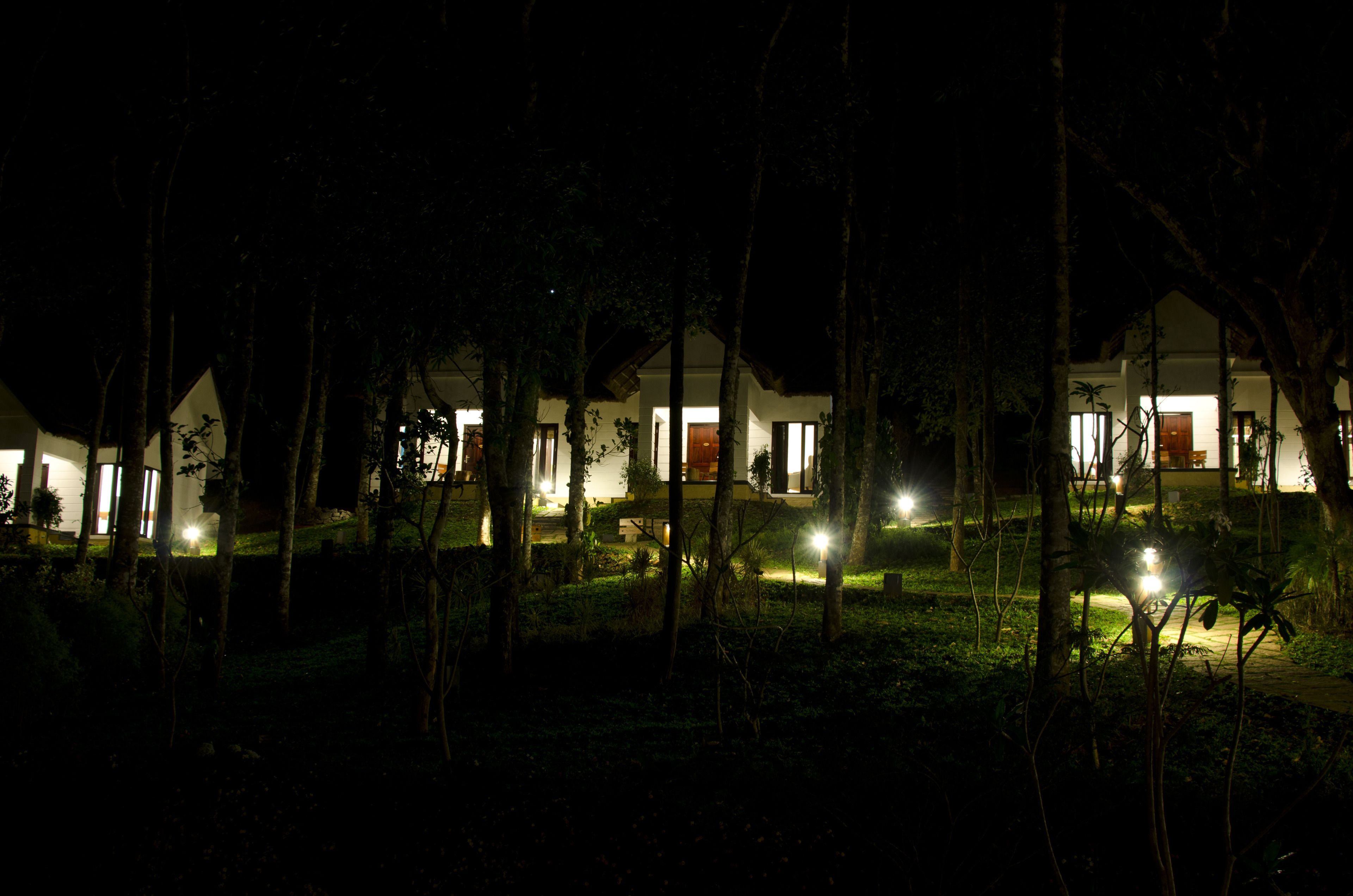 A row of houses with illuminated windows and doors, surrounded by trees.