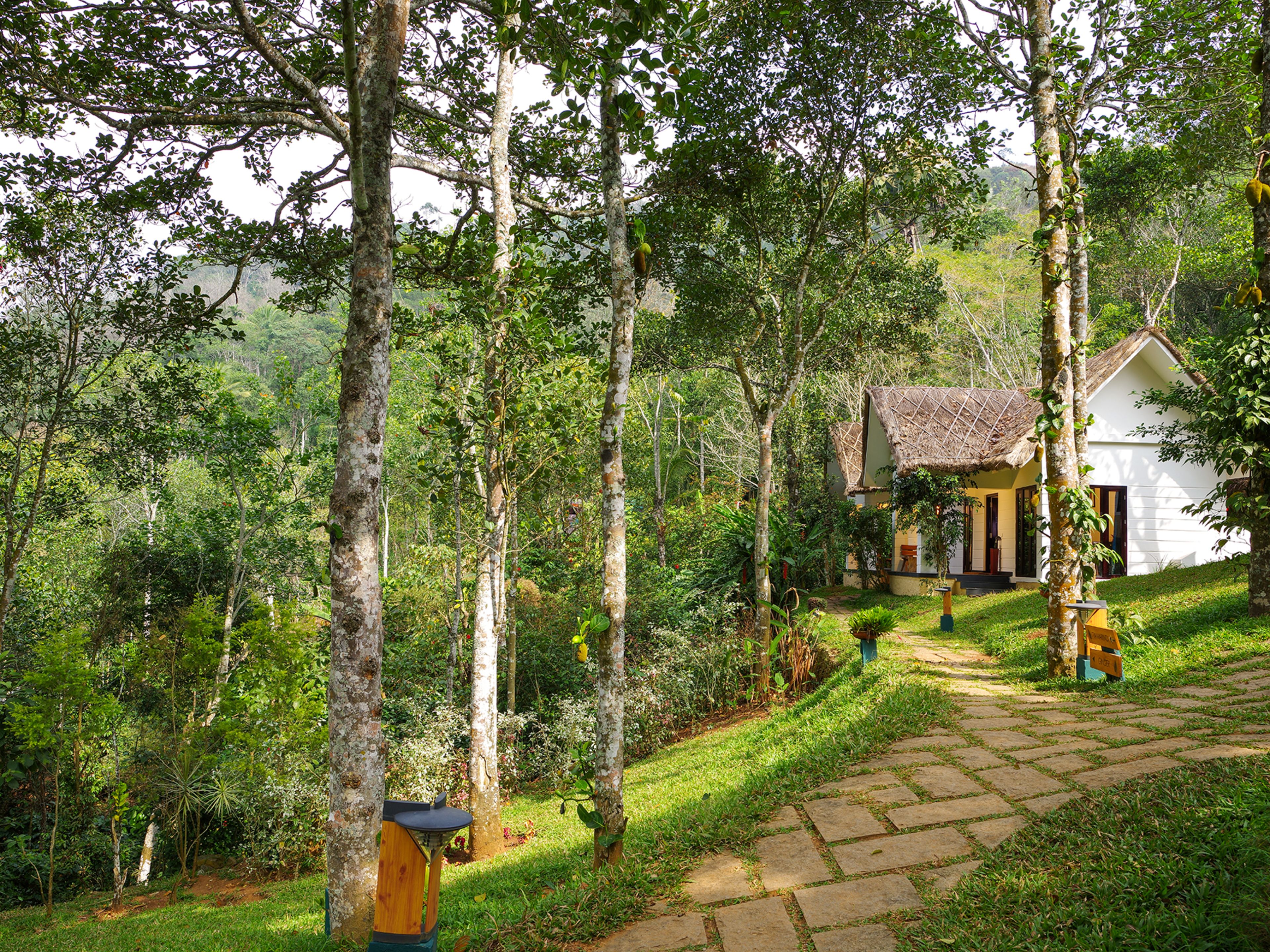 Vista desde la propiedad