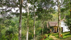 Une maison au toit de chaume, entourée d’une végétation luxuriante et d’arbres.