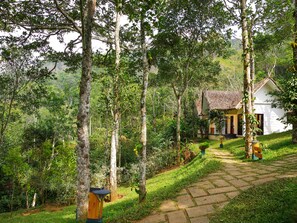 View from property - Niraamaya Cardamom Club (Peermade)
