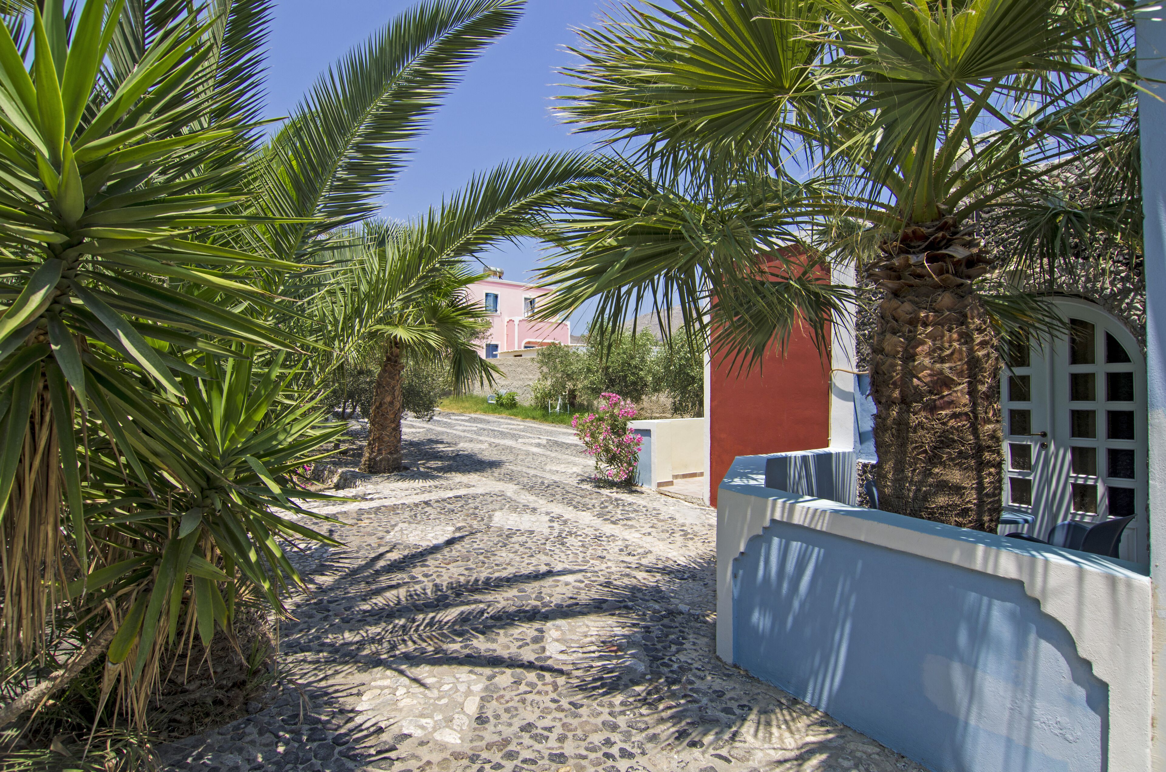 Deluxe Double Room | Garden view