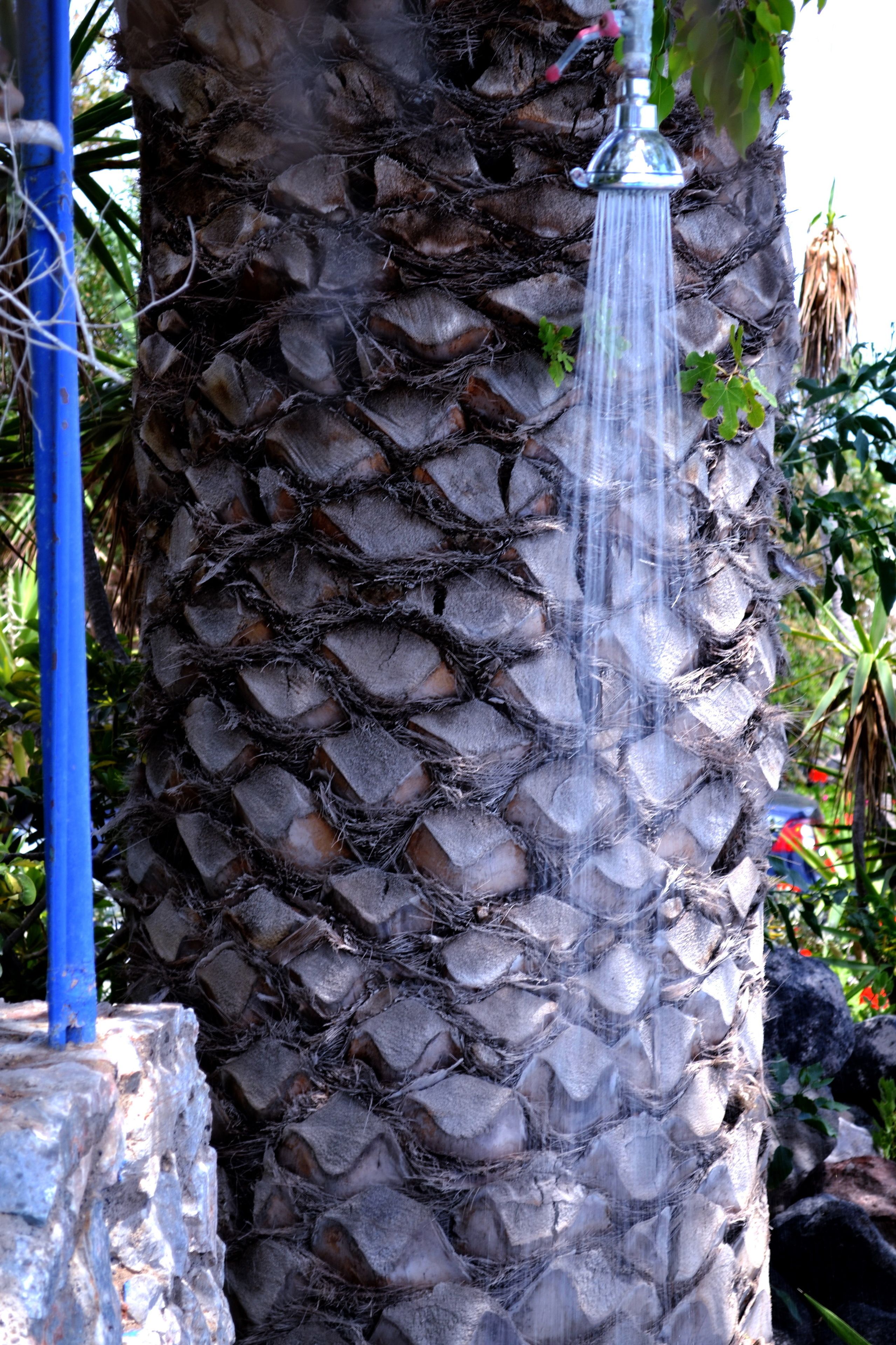 Photo - Pantheon Hotel