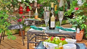 An outdoor dining area with a table set for two, featuring a bottle of wine, two wine glasses, a plate of cheese, and grapes. - Hotel Müller (Cologne)