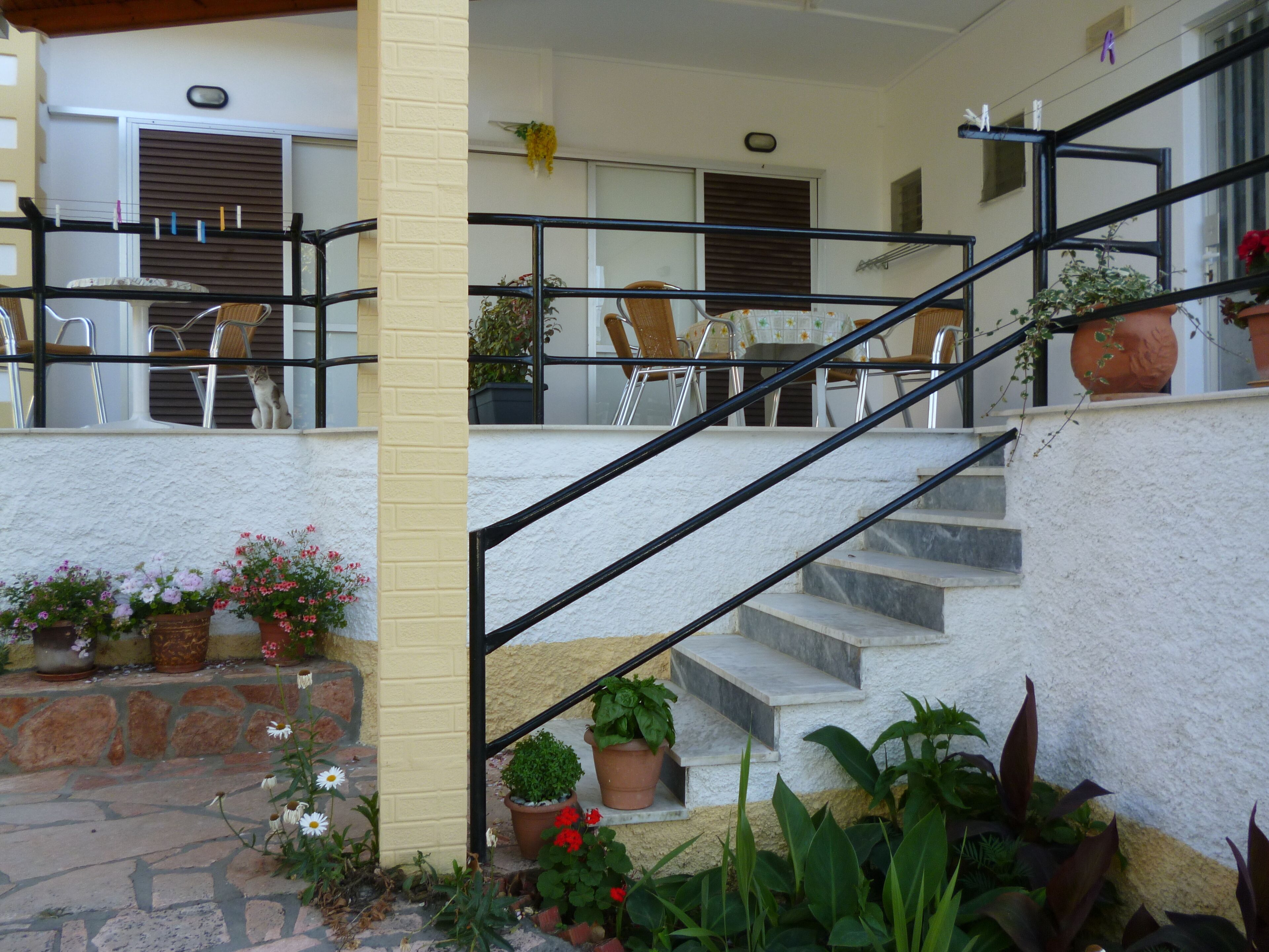 Un escalier menant à un espace extérieur abrité, agrémenté de plantes en pot et de chaises.