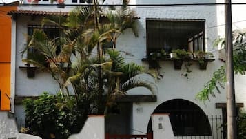 A white building with a gated entrance, a palm tree, and a small garden.