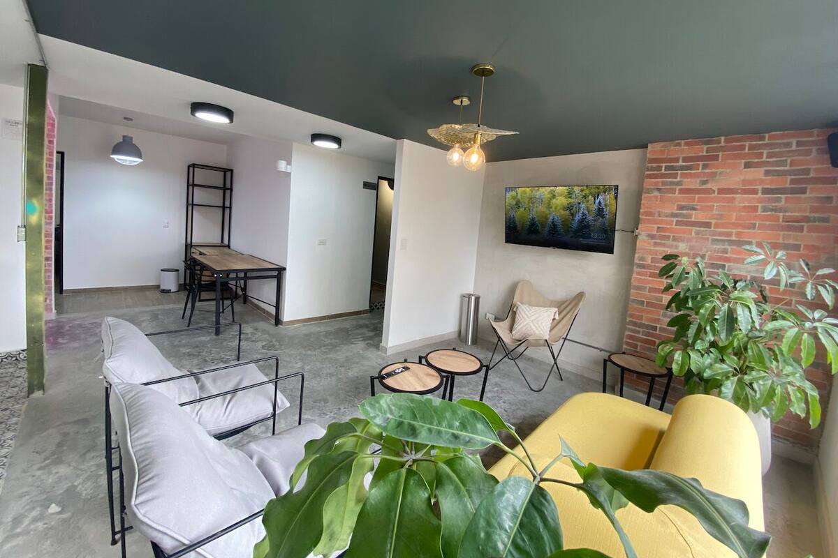 Um espaço moderno para viver, com área de jantar, sofás e uma planta grande.