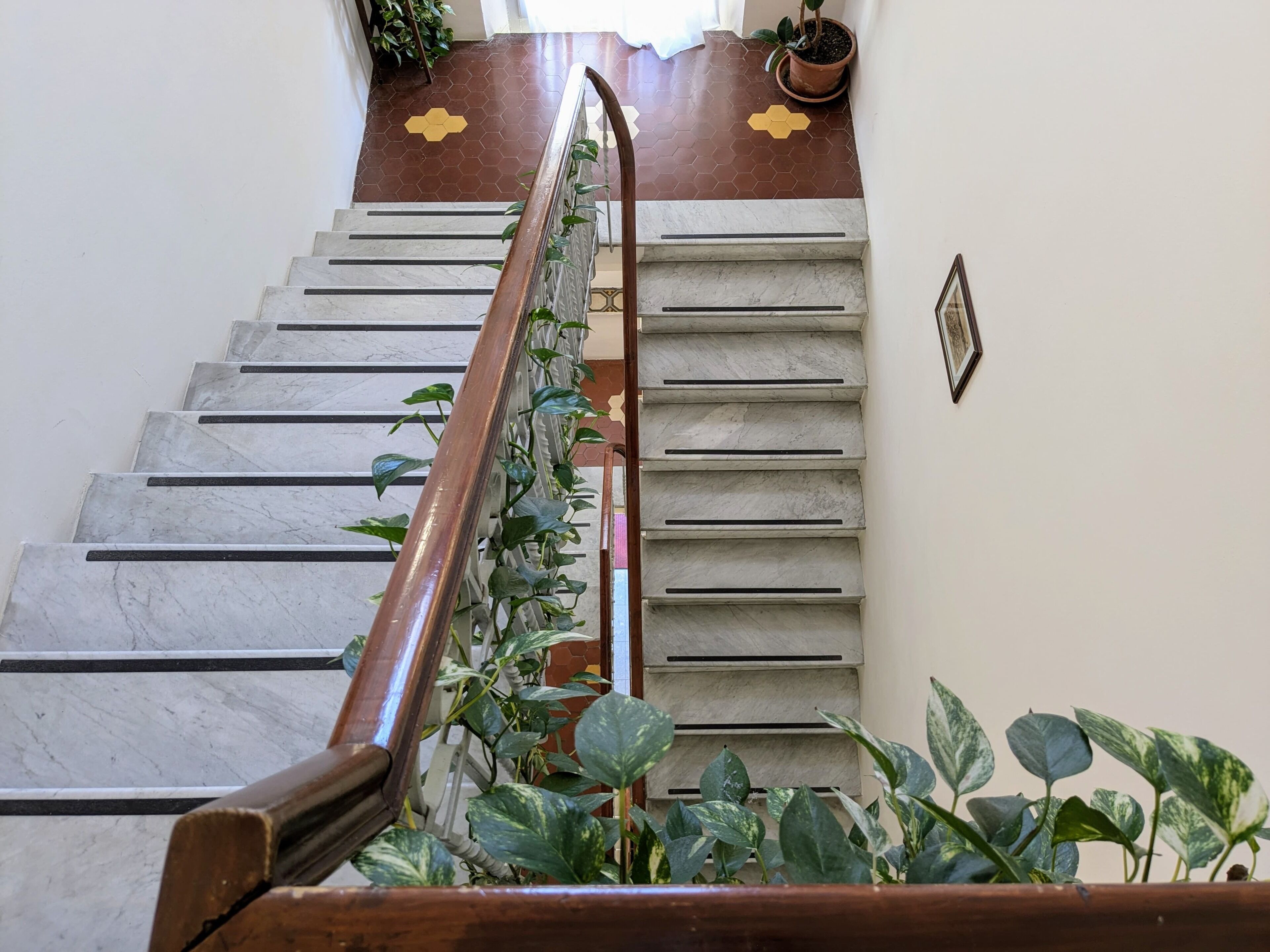 Foto - Hotel Soggiorno Athena