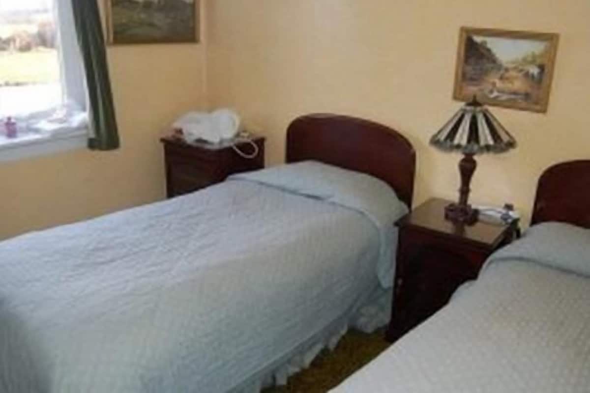 Chambre avec lits jumeaux, 2 lits une place, salle de bains privée