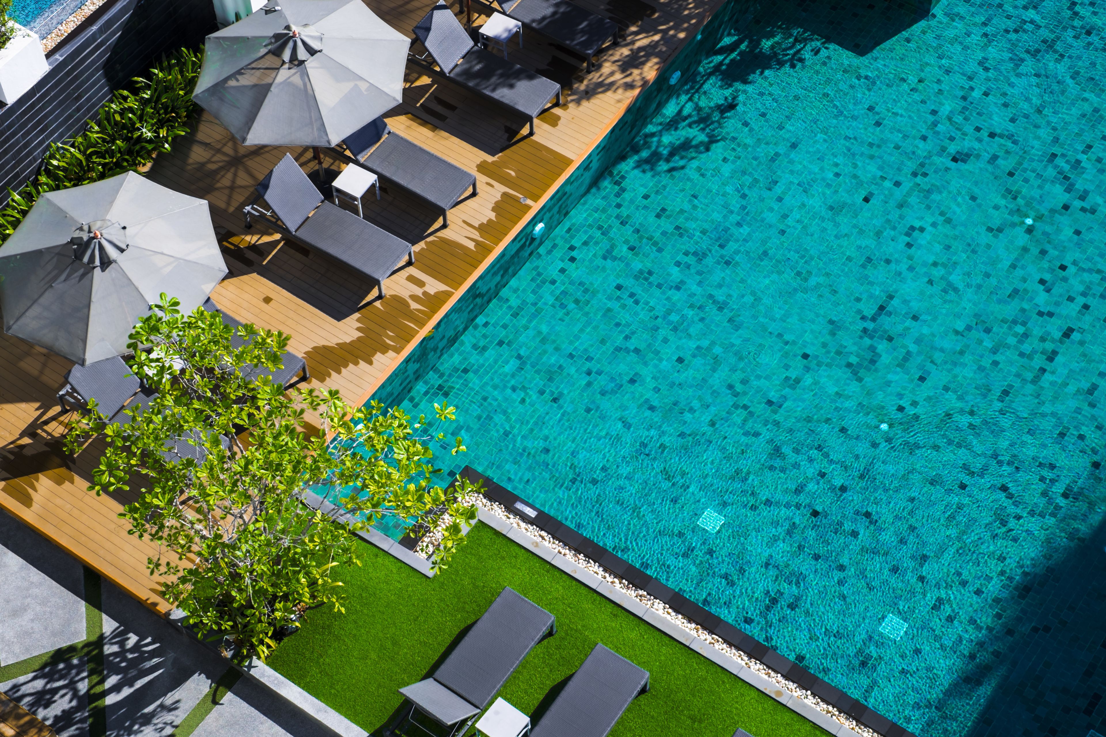 An aerial view of a swimming pool area with lounge chairs and umbrellas.