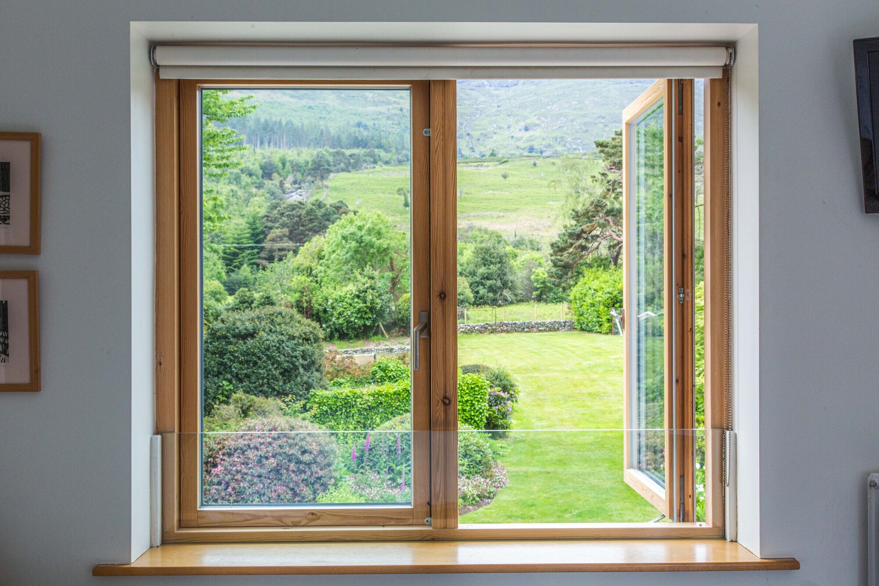 A window with a wooden frame and a view of a green landscape.