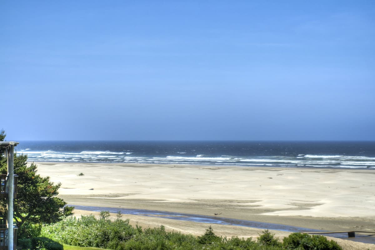 Vista de una playa con cielo despejado, arena y vegetación en primer plano.
