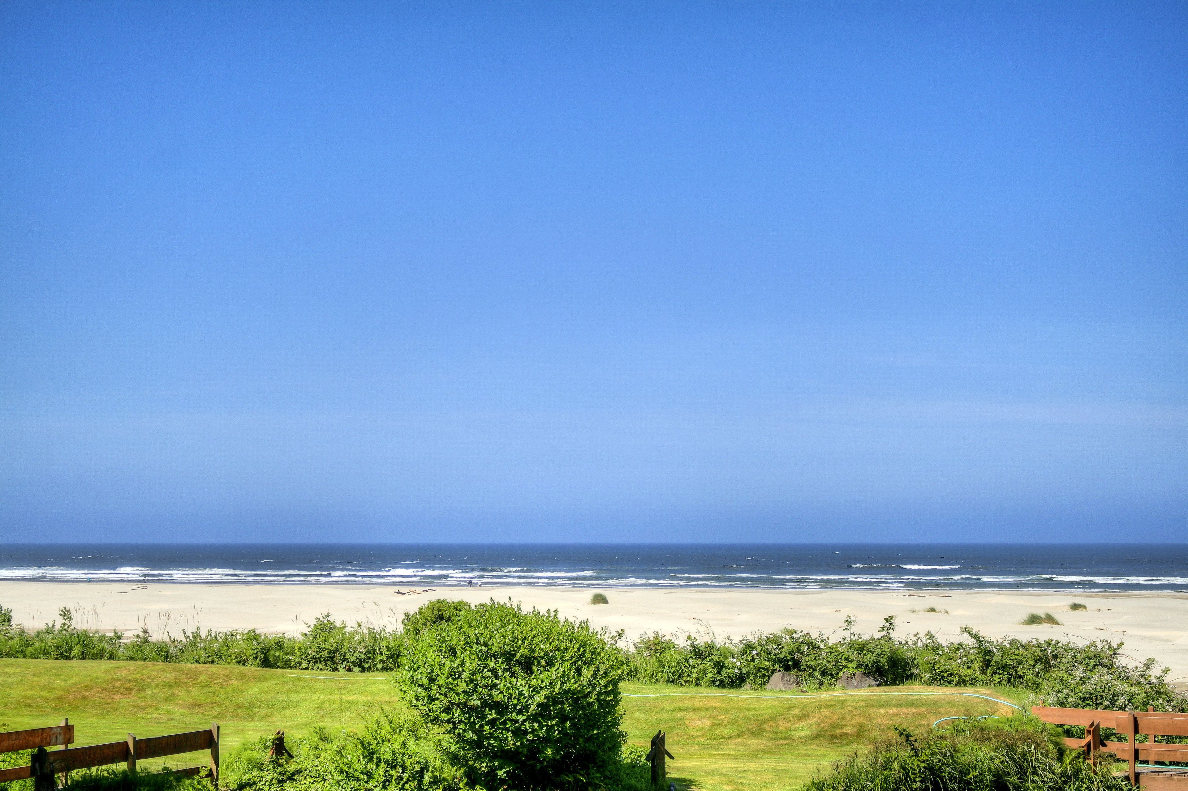 Une vue sur la plage, avec une zone herbeuse et un banc en bois.