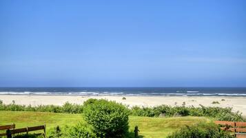 Une vue sur la plage, avec une zone herbeuse et un banc en bois.
