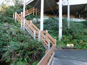 Standard Room, 2 Bedrooms (50 steps, No Pets Allowed) | Egyptian cotton sheets, premium bedding, pillowtop beds