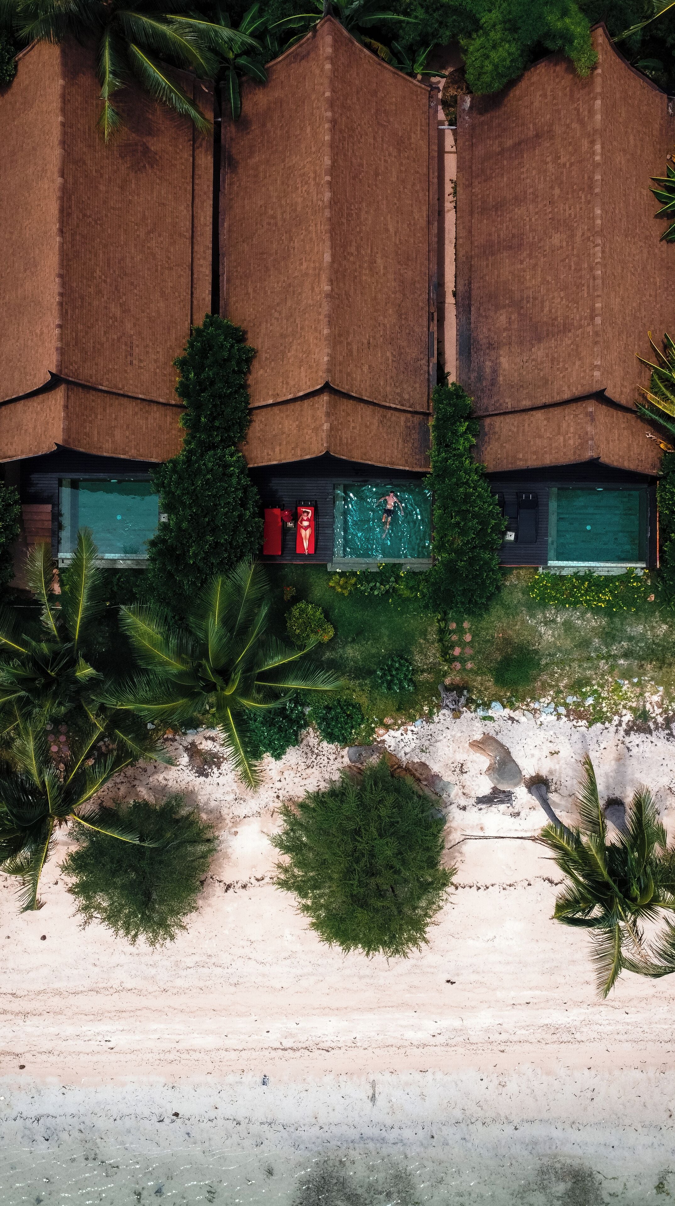 on the beach, beach umbrellas, beach towels
