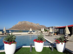 Alberca al aire libre por temporada y sombrillas en la alberca 