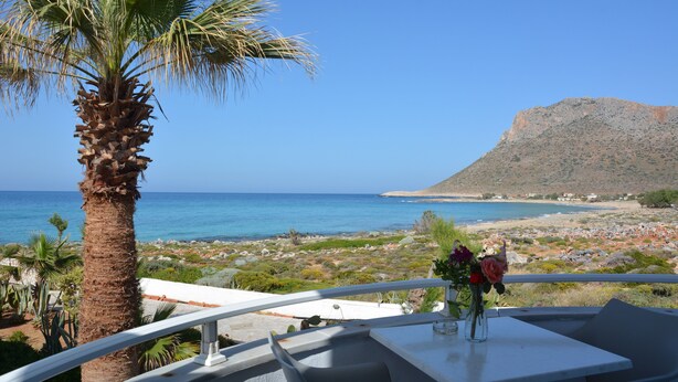Een terras met uitzicht op zee, een palmboom en een tafel met een bloevas.